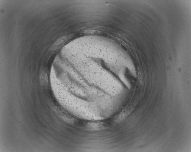 X0000079580375200612221436