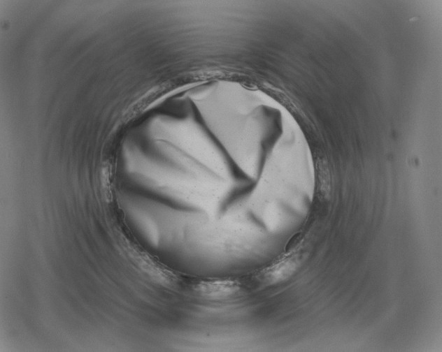 X0000079580378200612221437