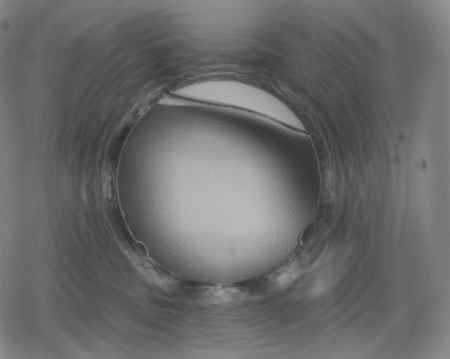 X0000079580379200612221437