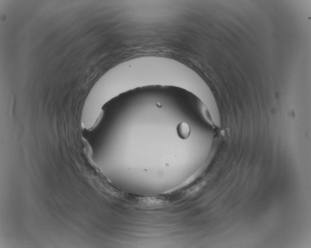 X0000079580380200612221437