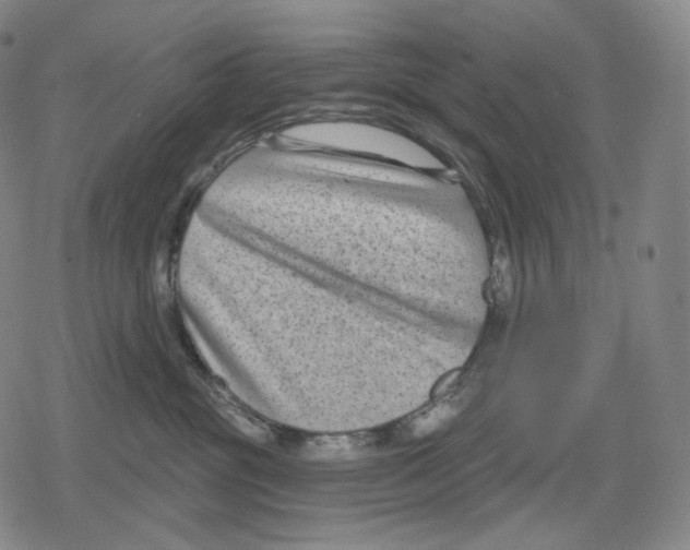 X0000079580381200612221437