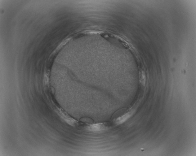 X0000079580382200612221437