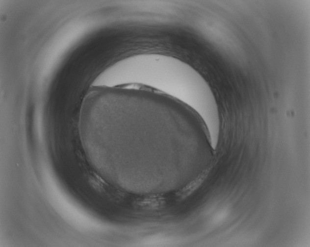 X0000079580383200612221437