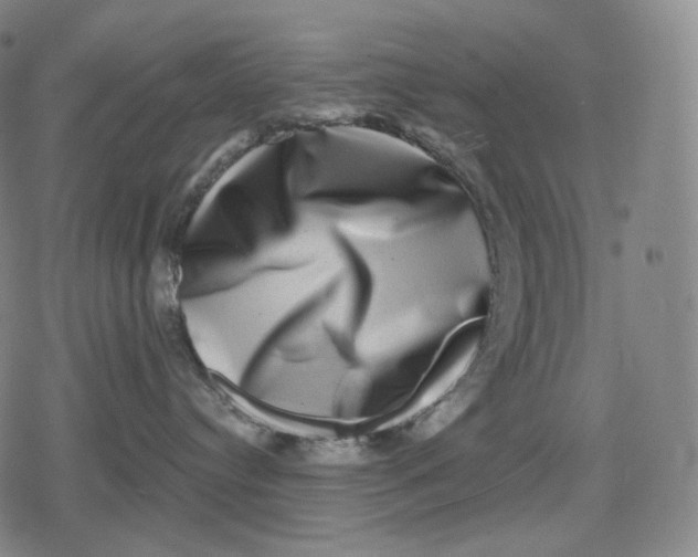 X0000079580384200612221437