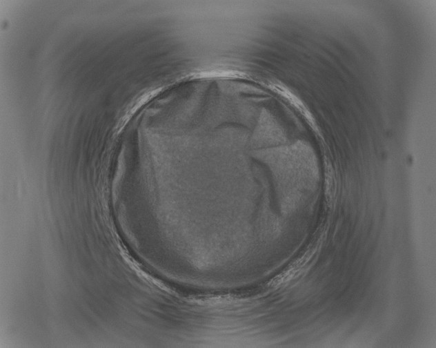 X0000079580385200612221436