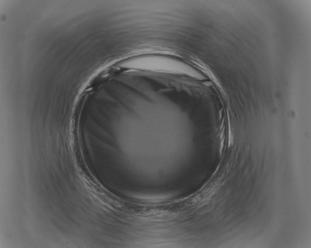 X0000079580387200612221436