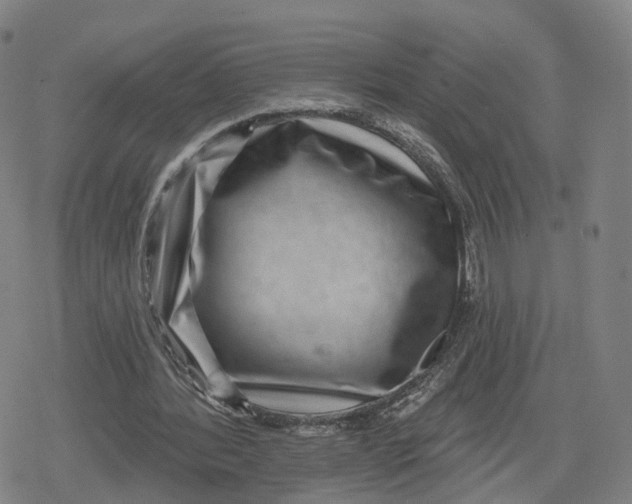 X0000079580388200612221436