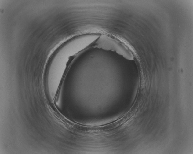 X0000079580391200612221436