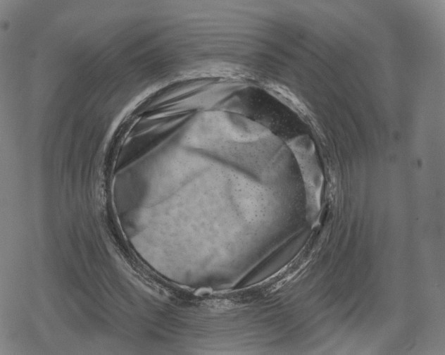 X0000079580392200612221436