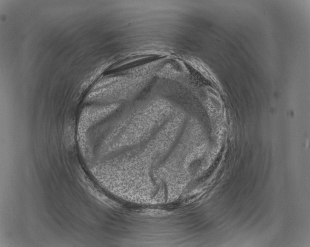 X0000079580393200612221436