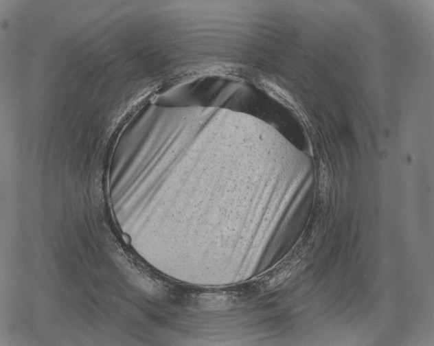 X0000079580394200612221436