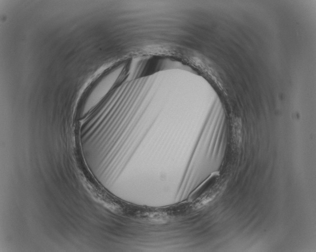 X0000079580395200612221436