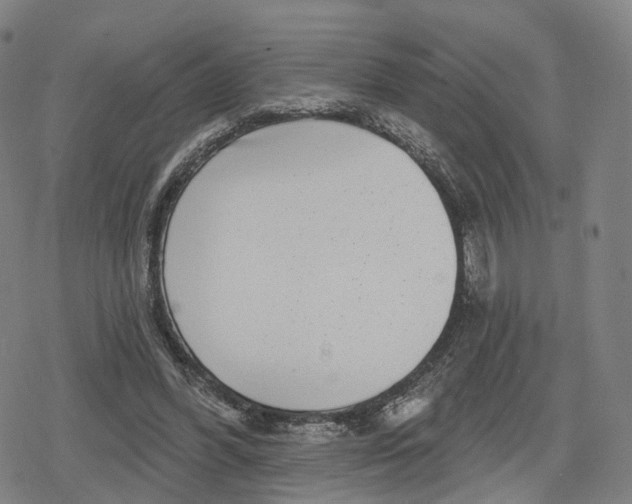 X0000079580396200612221436