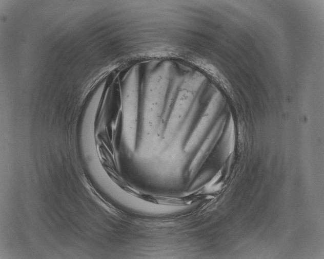 X0000079580397200612221436