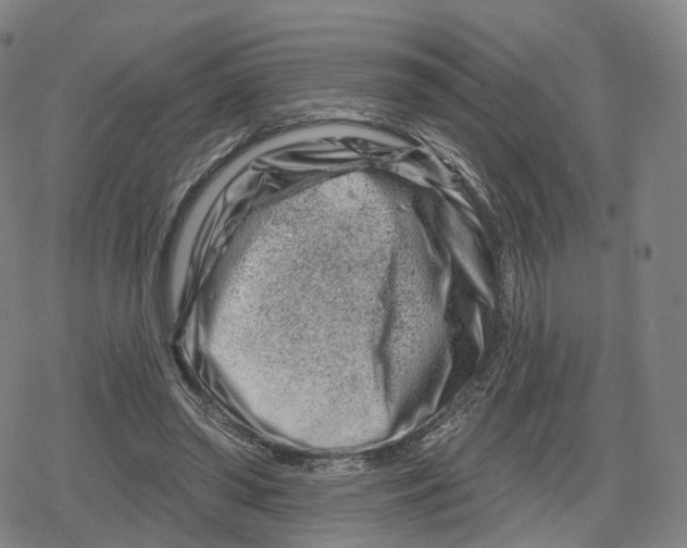 X0000079580398200612221436