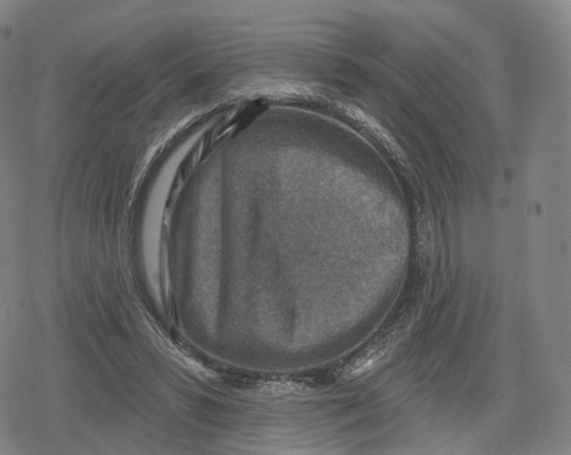 X0000079580399200612221436