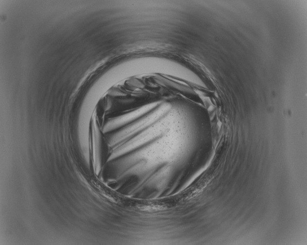 X0000079580400200612221436