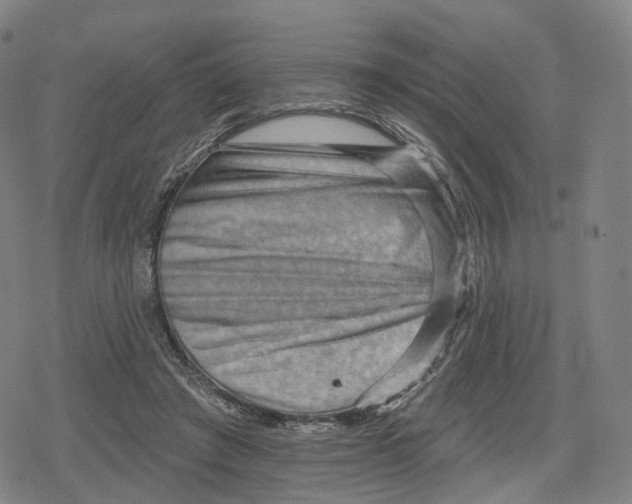 X0000079580401200612221436