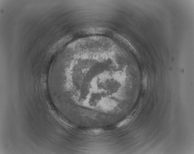 X0000079580402200612221436