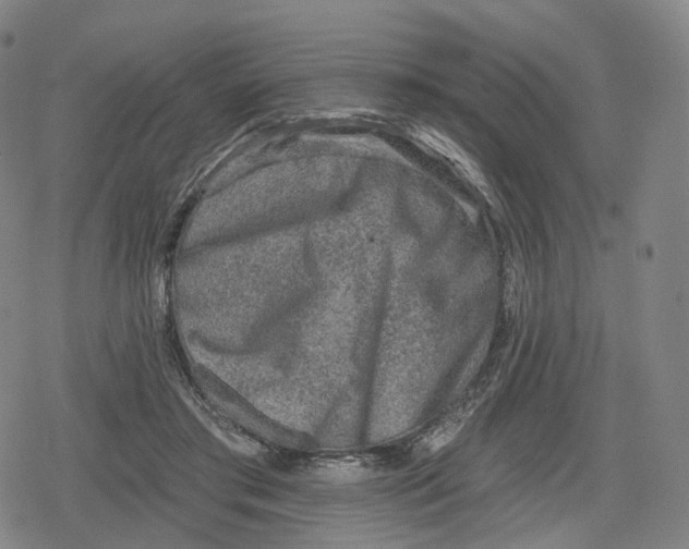 X0000079580405200612221436