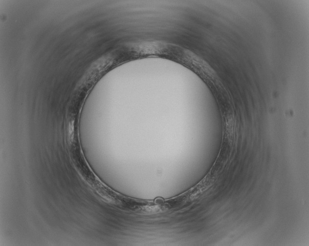 X0000079580406200612221436