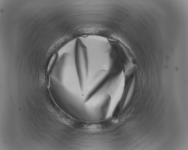 X0000079580407200612221435