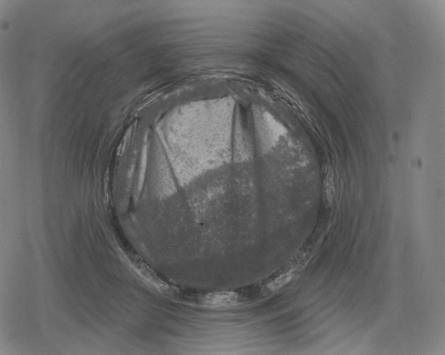 X0000079580410200612221435