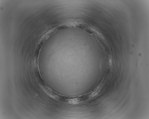 X0000079580411200612221435