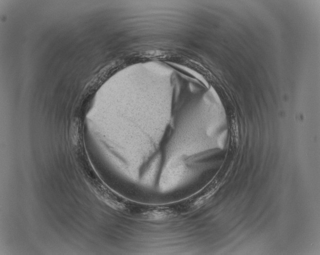 X0000079580412200612221435