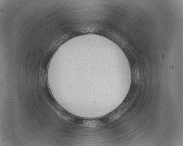 X0000079580414200612221435