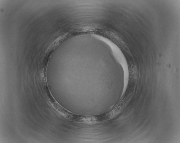 X0000079580415200612221435