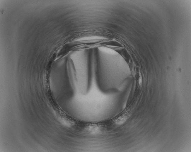 X0000079580416200612221435