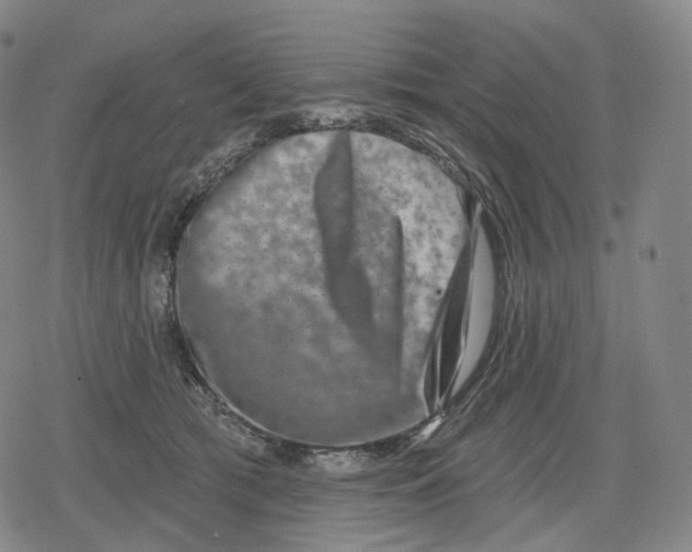 X0000079580417200612221435