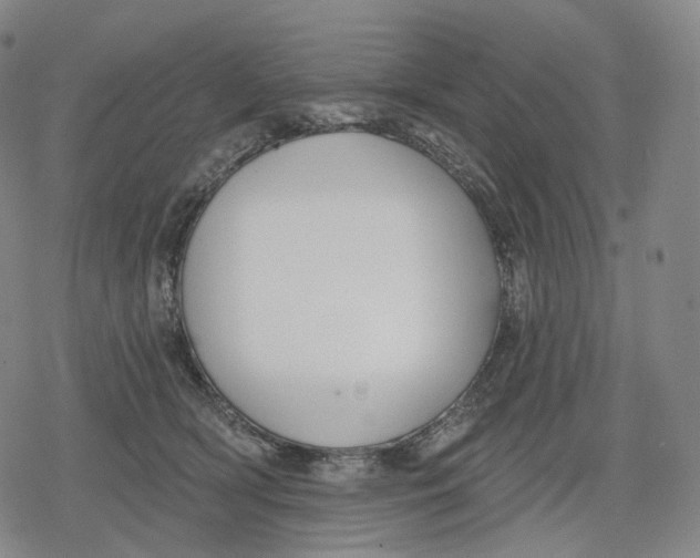 X0000079580418200612221435