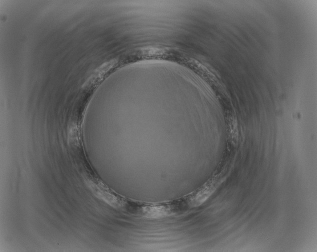 X0000079580419200612221435