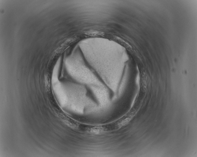 X0000079580420200612221435