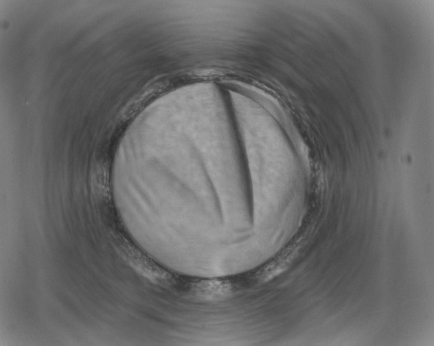 X0000079580421200612221435