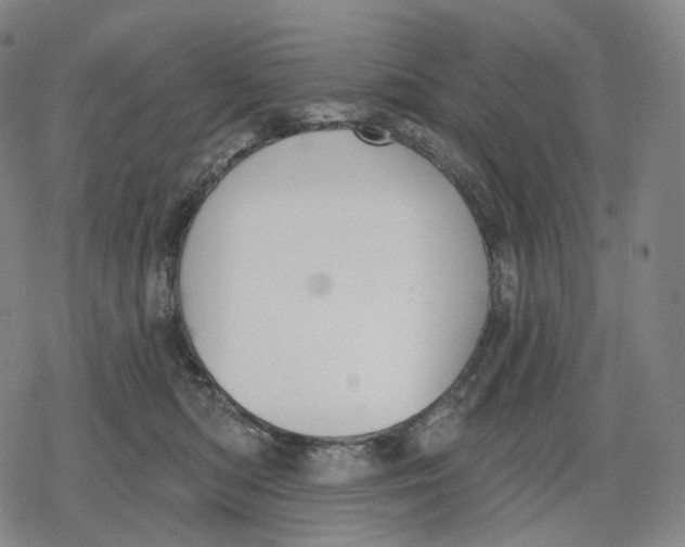 X0000079580422200612221435