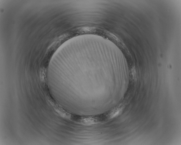 X0000079580423200612221435