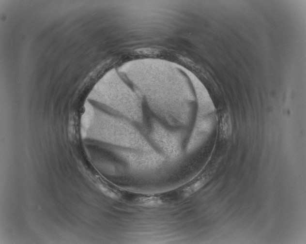 X0000079580424200612221435