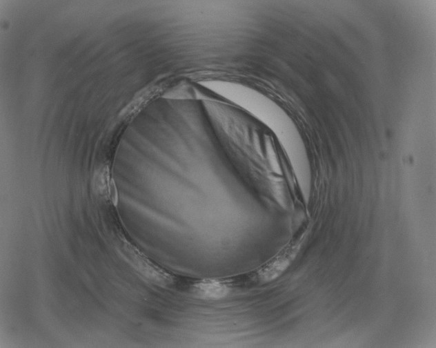 X0000079580425200612221435