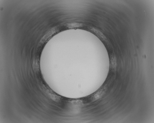 X0000079580426200612221435