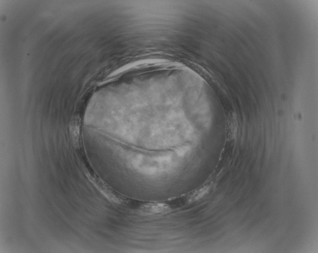 X0000079580427200612221435