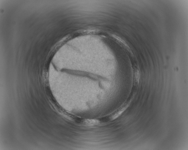 X0000079580429200612221435