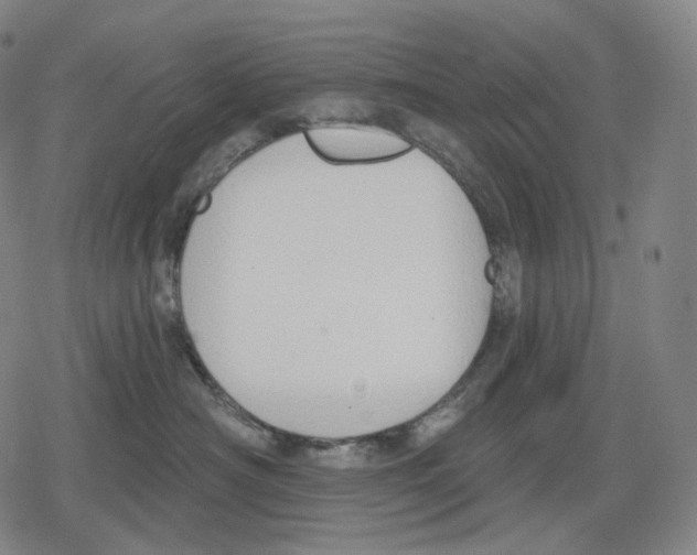 X0000079580430200612221435