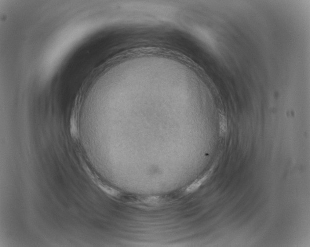 X0000079580431200612221435