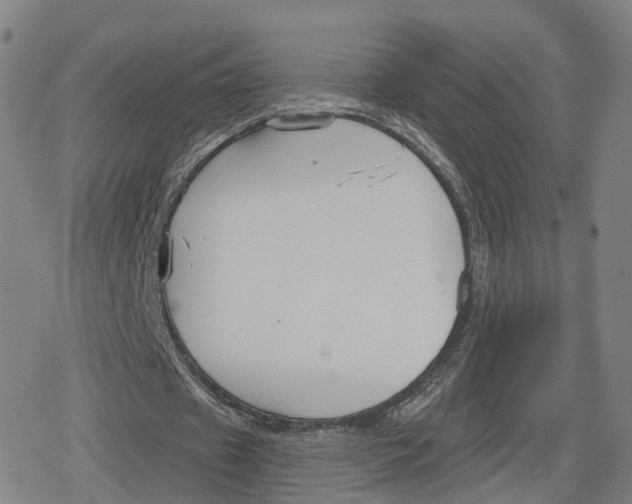 X0000079580433200612221434