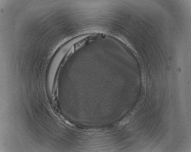 X0000079580434200612221434