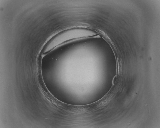 X0000079580435200612221434