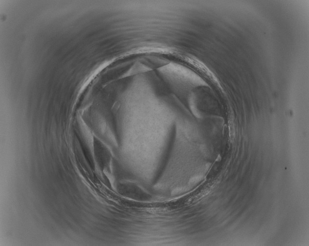 X0000079580436200612221434